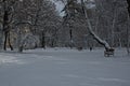 View of a winter scene with a park benchs