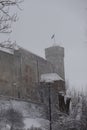 View by winter to snowy landscape and Tall or Pikk Hermann Tower with estonian flag. Tree in the front. Toompea Castle Royalty Free Stock Photo