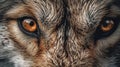 View of a wolfs piercing eye. Generative AI Royalty Free Stock Photo