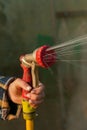 View woman hands watering plants from the hose, makes a rain in the garden. Gardener with watering hose and sprayer water on the Royalty Free Stock Photo