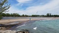 Woodbine beach Royalty Free Stock Photo