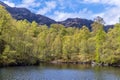 A view of the wooded shore of Loch Katrine in the Scottish Highlands