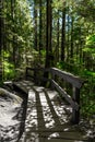 wooden boardwalk(Twin Falls Loop Trail) inside the Lynn Canyon Park Area, North Vancouver