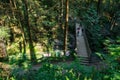 View of the wooden boardwalk(Twin Falls Loop Trail) inside the Lynn Canyon Park Area, North Vancouver