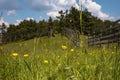 View of the wooden fence, meadow and amazing blue cloudy sky Royalty Free Stock Photo