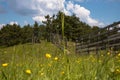 View of the wooden fence, meadow and amazing blue cloudy sky Royalty Free Stock Photo