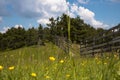 View of the wooden fence, meadow and amazing blue cloudy sky Royalty Free Stock Photo