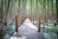 View of wooden footpath in Mangrove forest with green trees in background. Royalty Free Stock Photo