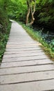 View of wooden footpath. Royalty Free Stock Photo