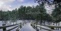 View of wooden path covered in snow among pine trees forest near sea coast during sunny winter day with blue sky and clouds. Walk Royalty Free Stock Photo