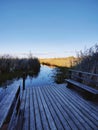 View of a wooden pier on a large crayfish lake. State Natural Reserve Cancer Lakes, St. Petersburg. Royalty Free Stock Photo