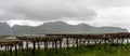 View of wooden racks on the coast of the Lofoten Islands with hundreds of stockfish heads drying in the arctic air