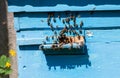 View of the worker honey bees that fly into the hive