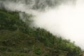 View from World& x27;s End in Horton plains national park