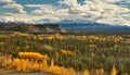 View of Wrangell - St. Elias mountains from Glenn HWY, Alaska