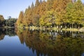 View of Xuanwu lake in Nanjing during autumn session