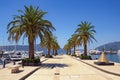 View of yacht marina of Porto Montenegro on sunny day. Montenegro, Tivat city Royalty Free Stock Photo