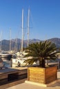 View of yacht marina of Porto Montenegro on sunny winter day. Montenegro, Bay of Kotor, Tivat city Royalty Free Stock Photo