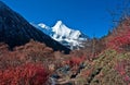 View of Yading ,Yunnan Royalty Free Stock Photo