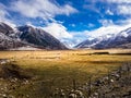 View of yaks grazing in the field near snow mountain in winter