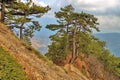 Landscape on a slope of mountain ridge in forest Royalty Free Stock Photo