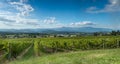 View of the Yarra Valley, near Melbourne Royalty Free Stock Photo