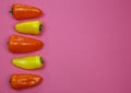 View on yellow and orange color rew sweet mini bell peppers in a row with blank pink background for text copy space Royalty Free Stock Photo