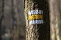 Yellow trail mark on tree in autumn