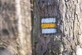 Yellow trail mark on tree in autumn