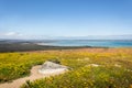 View of yellow wild flowers with ocean in background Royalty Free Stock Photo