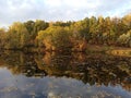 View of yellowed autumn trees and a pond