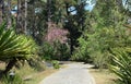 View of the Yersin park in Dalat, Vietnam