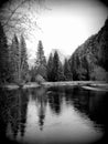 View of the Yosemite creek in the Yosemite Valley, Sierra Nevada, Black and White Royalty Free Stock Photo