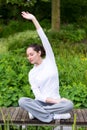 Young attractive woman practising yoga in a park Royalty Free Stock Photo