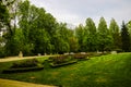 View of a young park for walks. Green trees, beautiful flower beds with flowers, nature