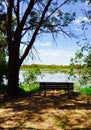 Viewing Bench: Bibra Lake Wetlands Royalty Free Stock Photo