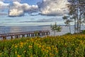Viewing bridge seen from the hill - Marsh Island - Lake Superior - Thunder Bay, ON, Canada Royalty Free Stock Photo