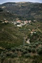 Viewing the Douro Valley Vineyards, Portugal. Royalty Free Stock Photo