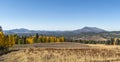 viewing fall in flagstaff arizona Royalty Free Stock Photo