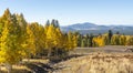 viewing fall in flagstaff arizona Royalty Free Stock Photo