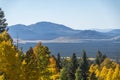 viewing fall in flagstaff arizona Royalty Free Stock Photo