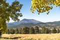 viewing fall in flagstaff arizona Royalty Free Stock Photo
