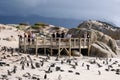 Viewing platform at Boulders Beach in Simonstown, Cape Town, South Africa, where there is a colony of African penguins.