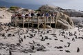 Viewing platform at Boulders Beach in Simonstown, Cape Town in South Africa. Beach is home to a colony of Afr Royalty Free Stock Photo