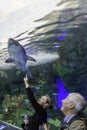 Viewing the Shark Tank at Toronto Aquarium