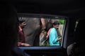Viewing a walking elefant through car window