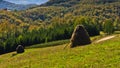 Viewpoint on a landscape of mount Bobija, hills, haystacks, meadows and colorful trees Royalty Free Stock Photo