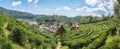 Viewpoint panorama resort lee wine ban rak thai in tea plantation