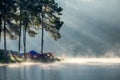 Viewpoint pine forest sunlight shine on fog reservoir in omorning at pang oung