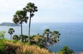 Viewpoint of promthep cape, phuket island, thailand Royalty Free Stock Photo
